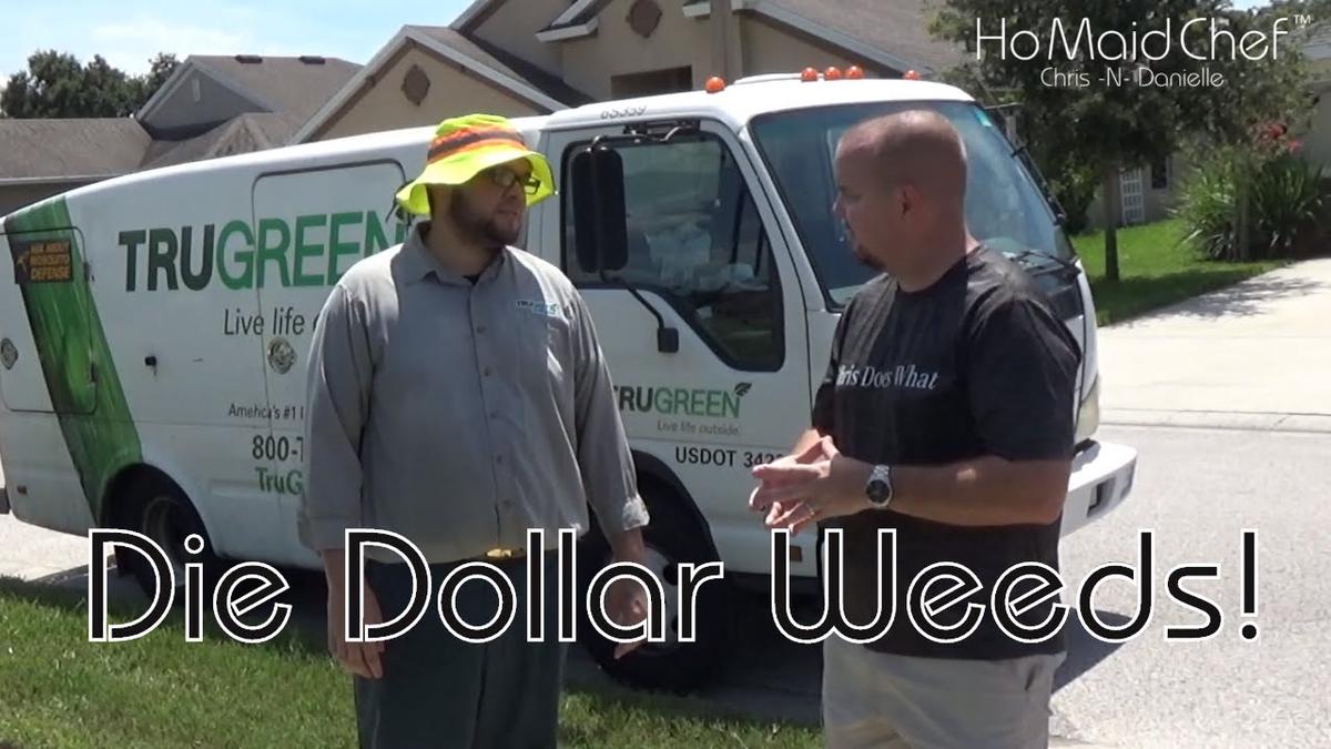 'Video thumbnail for 3rd service with TruGreen Dollar Weeds Almost Gone'